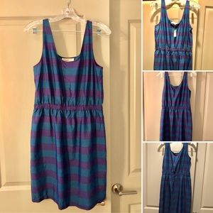 Ann Taylor LOFT purple & blue striped shift dress.